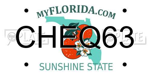 CHEQ63 Florida License Plate