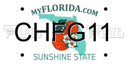CHFG11 Florida License Plate