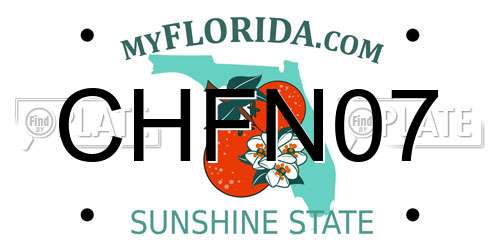 CHFN07 Florida License Plate