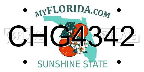 CHG4342 Florida License Plate