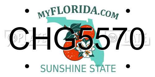 CHG5570 Florida License Plate