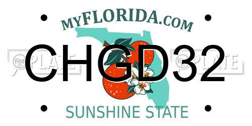 CHGD32 Florida License Plate