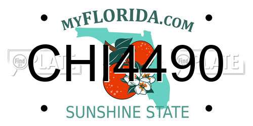 CHI4490 Florida License Plate