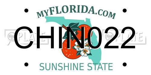 CHIN022 Florida License Plate