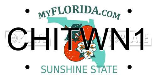 CHITWN1 Florida License Plate