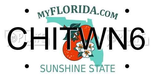 CHITWN6 Florida License Plate