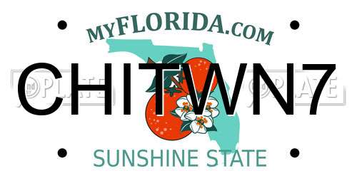 CHITWN7 Florida License Plate