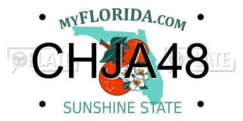 CHJA48 Florida License Plate