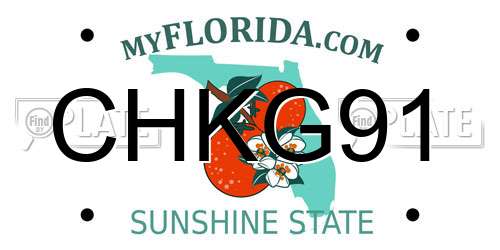 CHKG91 Florida License Plate