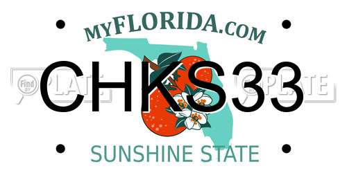 CHKS33 Florida License Plate
