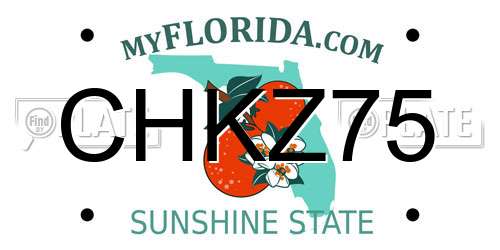 CHKZ75 Florida License Plate