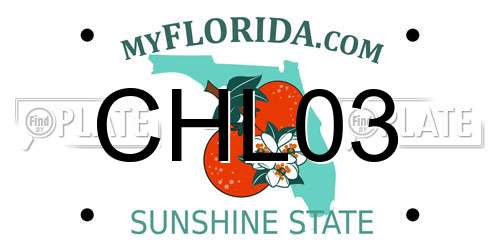 CHL03 Florida License Plate