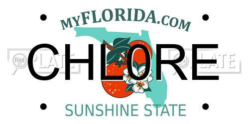 CHL0RE Florida License Plate