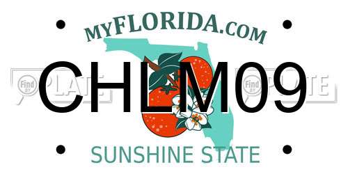 CHLM09 Florida License Plate