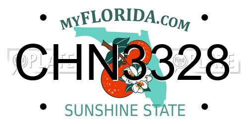CHN3328 Florida License Plate