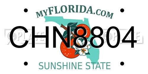 CHN8804 Florida License Plate