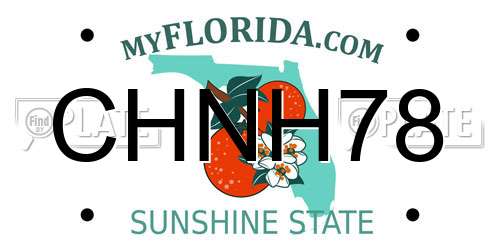 CHNH78 Florida License Plate