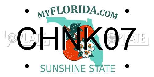CHNK07 Florida License Plate