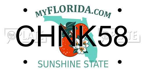 CHNK58 Florida License Plate