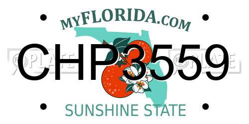 CHP3559 Florida License Plate