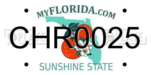 CHR0025 Florida License Plate