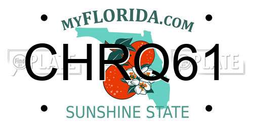 CHRQ61 Florida License Plate