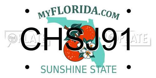 CHSJ91 Florida License Plate