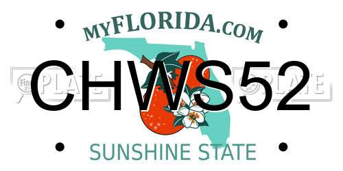 CHWS52 Florida License Plate