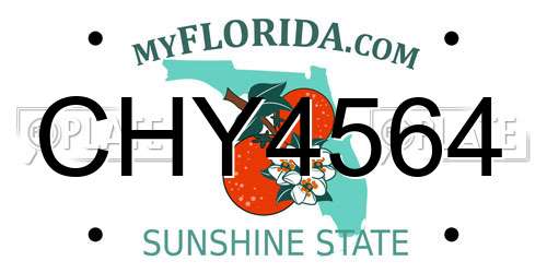 CHY4564 Florida License Plate