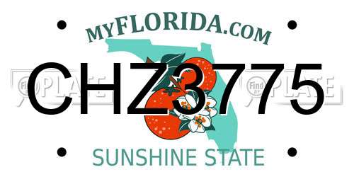 CHZ3775 Florida License Plate