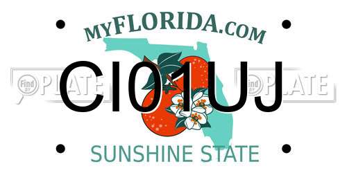 CI01UJ Florida License Plate
