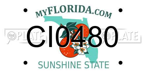 CI0480 Florida License Plate