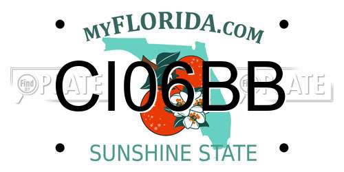 CI06BB Florida License Plate