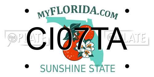 CI07TA Florida License Plate