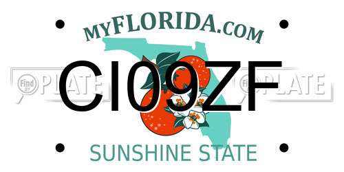 CI09ZF Florida License Plate