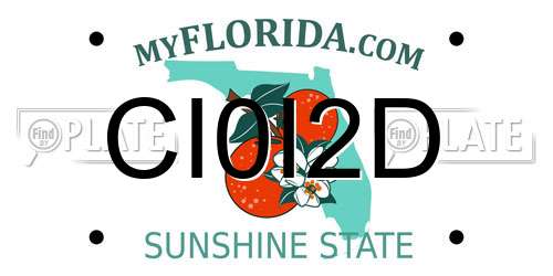 CI0I2D Florida License Plate