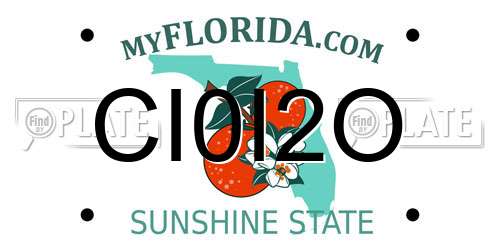 CI0I2O Florida License Plate
