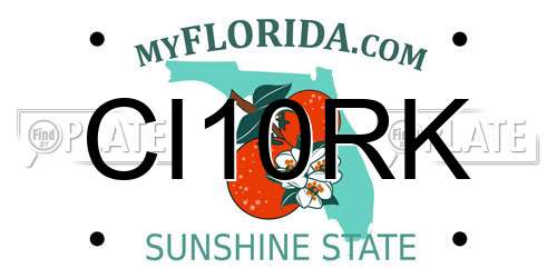 CI10RK Florida License Plate
