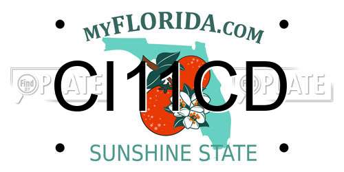 CI11CD Florida License Plate