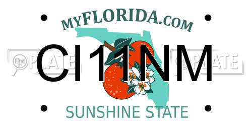 CI11NM Florida License Plate