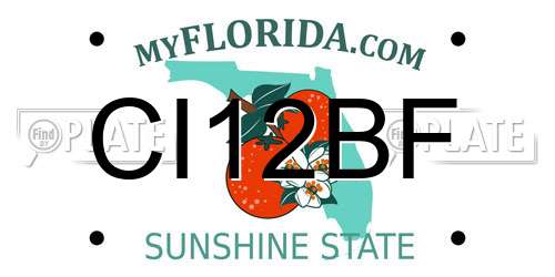 CI12BF Florida License Plate