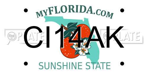 CI14AK Florida License Plate