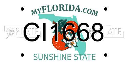 CI1668 Florida License Plate