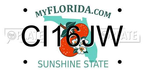 CI16JW Florida License Plate