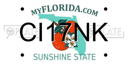 CI17NK Florida License Plate