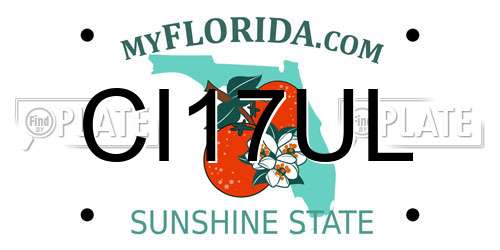 CI17UL Florida License Plate
