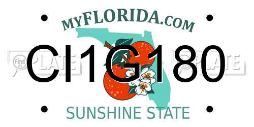 CI1G180 Florida License Plate