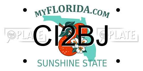 CI2BJ Florida License Plate