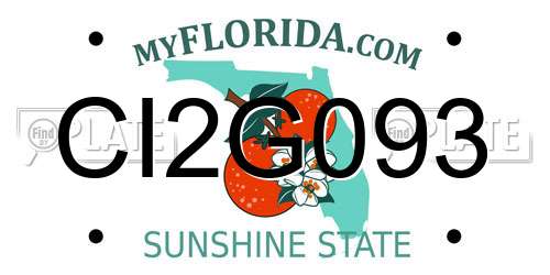 CI2G093 Florida License Plate