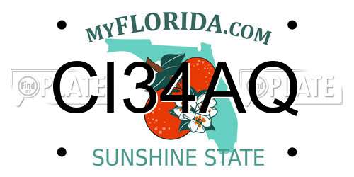 CI34AQ Florida License Plate